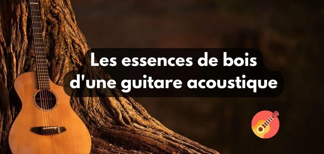 essences-de-bois-pour-une-guitare-acoustique