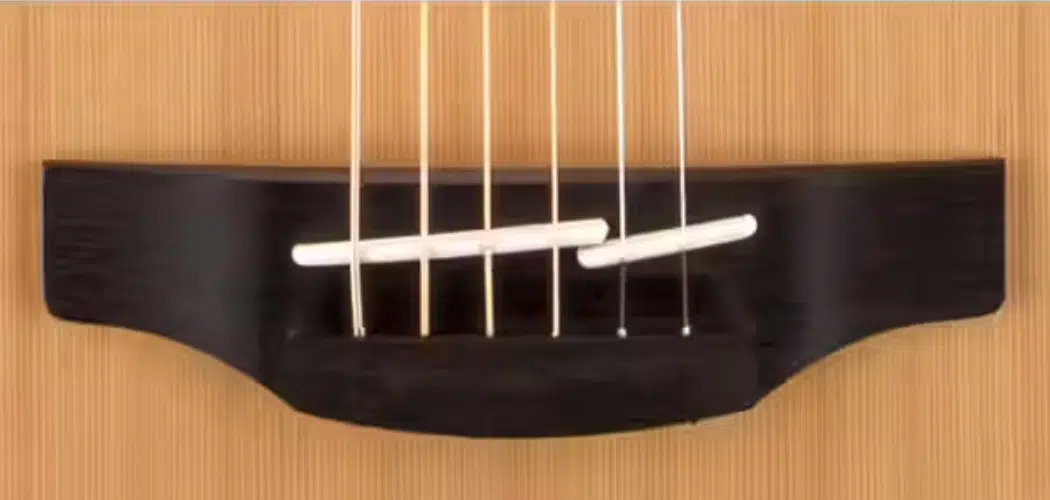 TAKAMINE-GD20-NS-sillet_ TAKAMINE-GD20-NS-sillet_