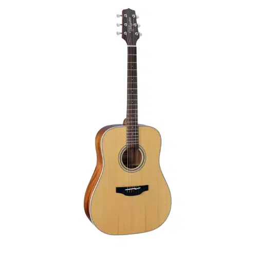 takamine-gd20-ns takamine-gd20-ns